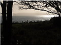 Boscombe: sea view through Overcliff trees