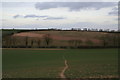 Looking eastwards from High Barn