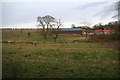 Across the fields to Rossville Farm from North Lane