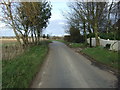 Lane heading north east,The Holt