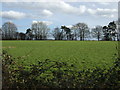 Farmland near Eiling Lodge