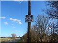 Green Lawns Bonsai sign