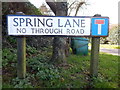 Spring Lane, Whitestreet Green dead end sign