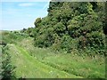 Path around the Mound of Down earthworks