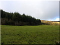 J0525 : Camlough Forest by Dean Molyneaux