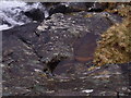 NH0216 : Pots scoured in bedrock near waterfall on Allt Grannda in Kintail by ian shiell