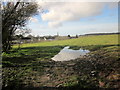 Puddle and field, Brentry