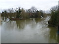 An island next to Thames Ditton Island