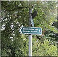 NT1896 : Path signpost, Harelaw by Richard Webb