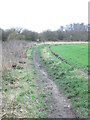 Footpath - Low Shops Lane