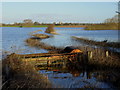 Flooded Leigh Brook, 2014