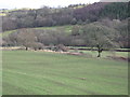 Fields near Capel y Gro