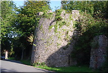 SM9801 : Town wall, Pembroke by N Chadwick