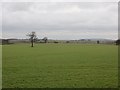 Winter cereals, Condover