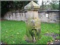 Grotesque old gatepost in Colne