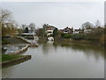 River Ember from Hampton Court Way