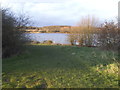 The Welsh Harp reservoir from Neasden