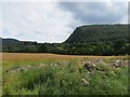 Pass of Killiecrankie