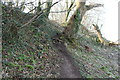 Path in the Woods at McCulloch