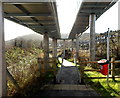 Under the Calzaghe Bridge, Newbridge