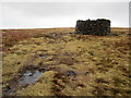 SD7941 : Stone Shelter on Pendle Hill by Chris Heaton