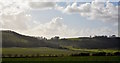 SU4958 : View over farmland, Sydmonton, Hampshire by Edmund Shaw