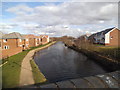 Canal Bridge View