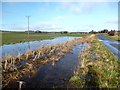 The Aldbourne near North Field Barn 1