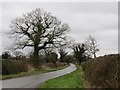 Lane between Harmer Hill and Haston