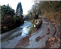 Path to Lower Hale Wood near Tintern