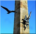 A Peregrine Falcon Kill