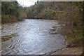 River Clyde at Castlebank near Lanark