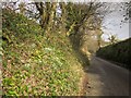 Lane to East Leigh Cross