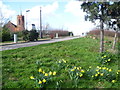 Mile End Park Green Bridge