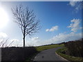 TL9443 : Bend in Road at Round Maple (towards Priory Green close up) by Hamish Griffin