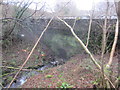 Bridge Near Hen Goitre Farm