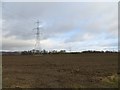 Arable land, Ryehill