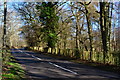 Lane through woodland near Owlshatch