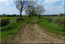 SK7923 : Farm track and farmland near Waltham on the Wolds by Mat Fascione