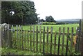 House in the woods, from Midhope Hall Lane, near Upper Midhope