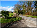 The lane to Privett from the south