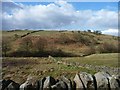 Wall running down to Summer House Beck