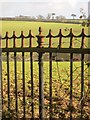 Railings by Eastern Lodge