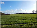 Farmland, looking towards School Green from near The Grove, Priory Green