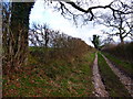 Byway to Old Down Farm from Peak farm