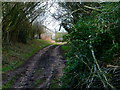 Byway approaches buildings at Old Down Farm