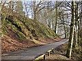 Road, Den of Alyth