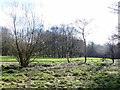 Millennium Wood and Green