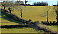 J3871 : Fields and hedges near Belfast by Albert Bridge