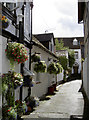 Flowers in the alley